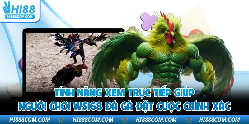 Tính năng xem trực tiếp giúp người chơi WS168 đá gà đặt cược chính xác